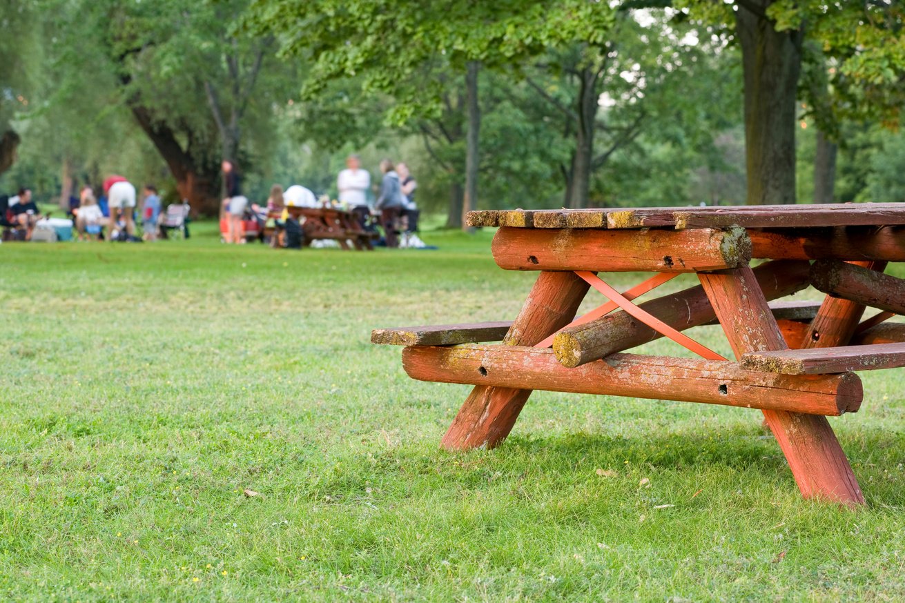 Family Picnic